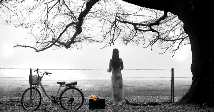Trong cuộc sống đôi lúc cũng cần có dũng khí dám nói: 'Không'